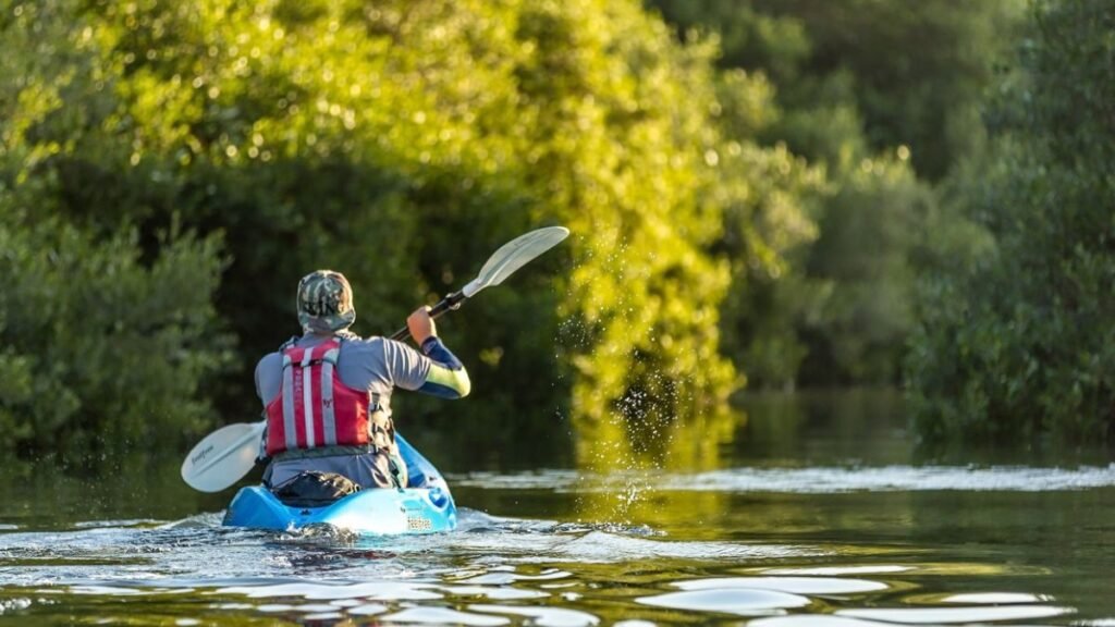Kayaking and paddleboarding the mangroves