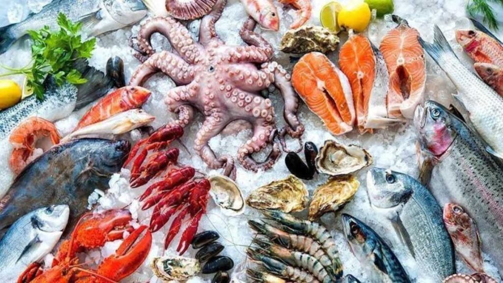 Ajman Fish Market