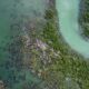 Aerial view of winding water channels through green mangrove wetlands