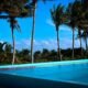 Resort swimming pool lined with palm trees on a sunny day