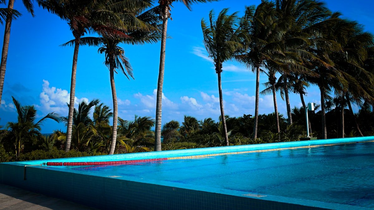 Resort swimming pool lined with palm trees on a sunny day