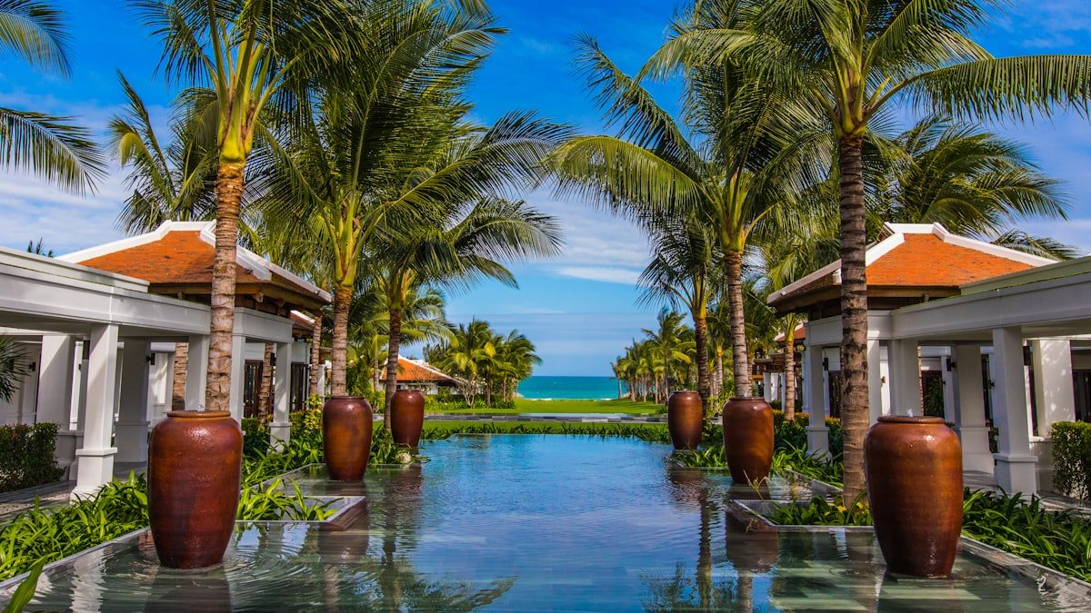 Palm tree by hotel pool