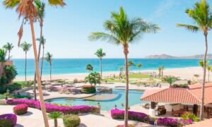 Sun loungers beside a resort pool on a sunny day