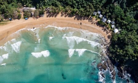 Turquoise sea meeting a sandy palm-lined beach viewed from above