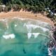 Turquoise sea meeting a sandy palm-lined beach viewed from above