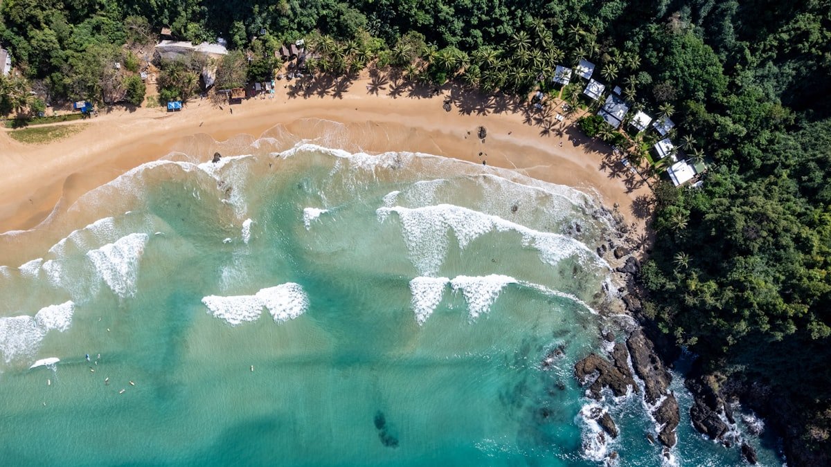 Turquoise sea meeting a sandy palm-lined beach viewed from above